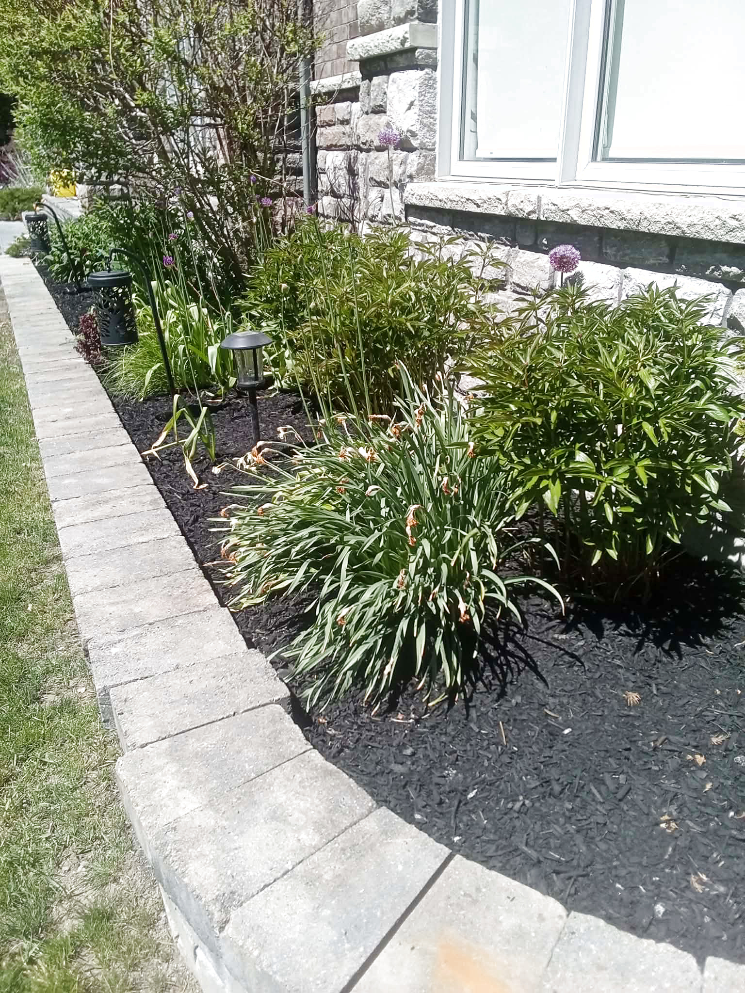 Hedging & Pruning